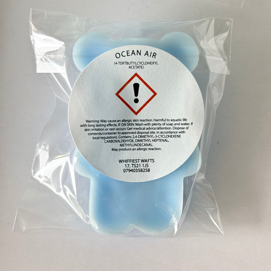 MELTS THAT MATTER - Ocean Air Scented Teddy Wax Melt