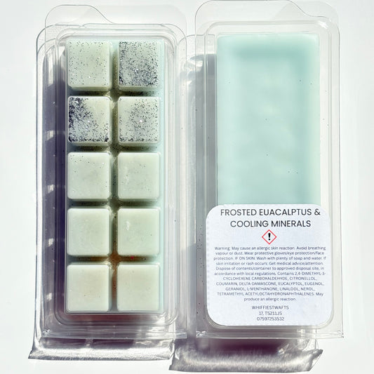 MELTS THAT MATTER - Frosted Eucalyptus & Cooling Minerals Scented Wax Melt Snap Bar