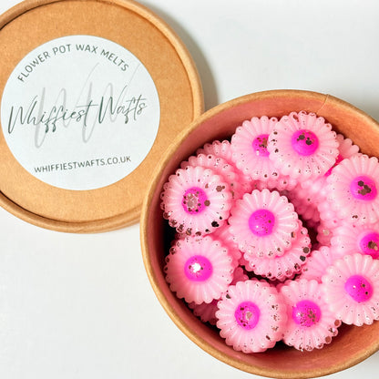 MELTS THAT MATTER - Imp Ylang & Orchid Scented Wax Melt Flower Pot