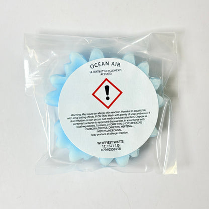 MELTS THAT MATTER - Ocean Air Scented Wax Melt Turtle