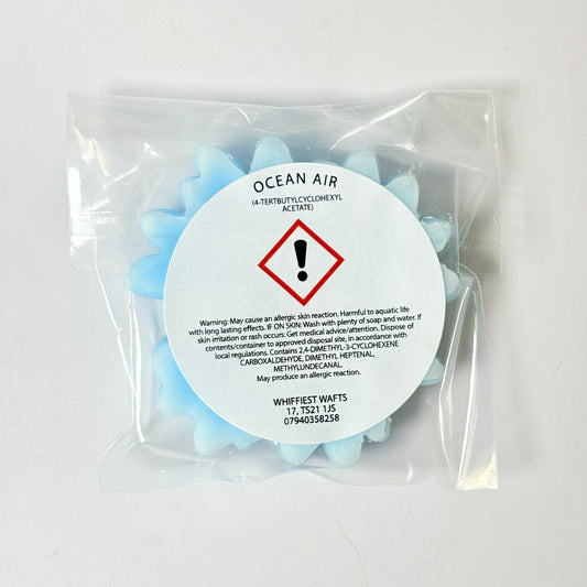 MELTS THAT MATTER - Ocean Air Scented Wax Melt Turtle